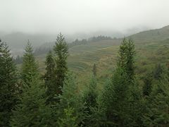 -紫鹊界梯田景区