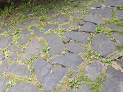-花溪公园