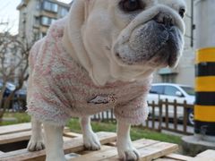 -清真·金宏兴鸭子店(明瓦廊店)