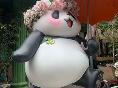 -轩客会(熊猫书店)