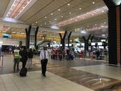 -奥利弗·雷金纳德·坦博国际机场