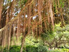 -深圳湾公园(南山区)
