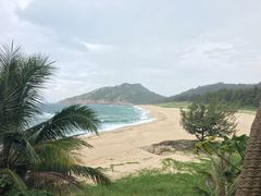 -广东惠东海龟国家级自然保护区