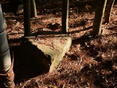 -溪口-滕头旅游景区