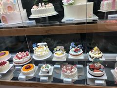 -蒲公英(五里店)