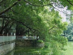 -人民公园(罗湖区)