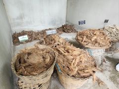 -大象粑粑造纸公园