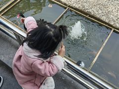 -南宁荔园维景国际酒店·荔园中餐厅