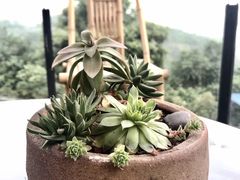 -远山有窑