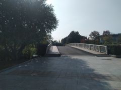 -九里河湿地公园