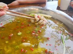 -鲜椒鱼·雅安地标性美食