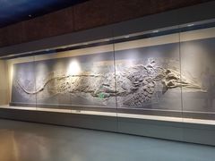 -安徽省地质博物馆