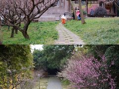 -苏州上方山国家森林公园