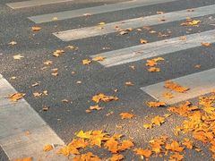 -万佳广场(台东店)