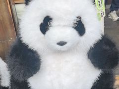 -见山书院