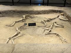 -洛阳周王城天子驾六博物馆