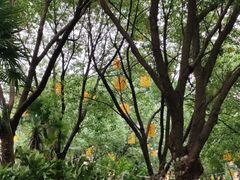 -歌斐颂巧克力小镇