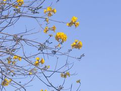 -福田红树林生态公园