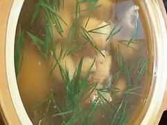 -莆鑫海鲜城(浏河店)