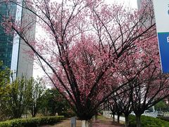 -无锡市市民中心