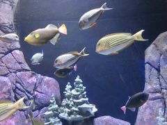 -成都浩海立方海洋公园