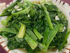 农家有机蔬菜-幽优农庄·森波拉特色本地农家菜