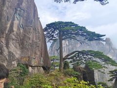 -黄山风景区