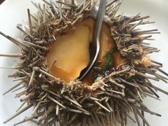 -春华海鲜城(广场西苑店)