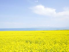 -青海湖国家重点风景名胜区