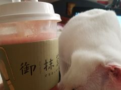 -御抹茶