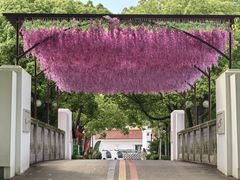 -苏州太湖西山岛开心农场