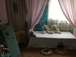 -邦叔叔.亲子全家福毕业照跟拍摄影(嘉定店)