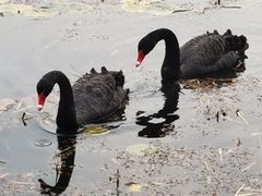 -昆山城市生态森林公园