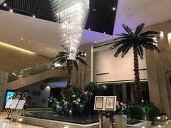 -常州环球恐龙城维景国际大酒店