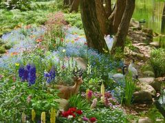 -上海共青森林公园