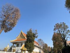 -洛阳白马寺