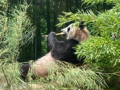 -杭州野生动物世界