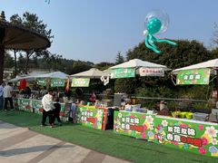 -铁山坪森林公园