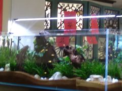 -阿莉餐厅(枣阳路店)