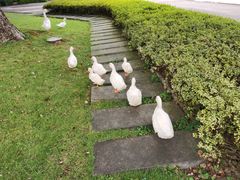 -Club Med地中海俱乐部·桂林度假村