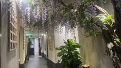 -盘子女人坊生日照·摄影馆(华强店)