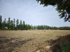 -广富林郊野公园