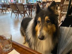 -VESH COFFEE(定西路店)