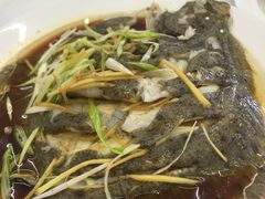 清蒸多宝鱼-北戴河庆山饭店·海鲜砂锅粥(北戴河黑石路店)