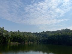 -阳台山森林公园