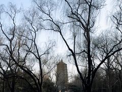-玲珑塔公园