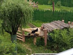 -沈阳森林动物园