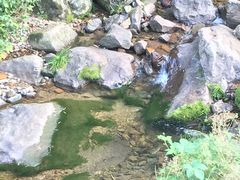 -长谷洞天