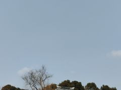 -香雪海