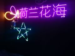 -荷兰花海